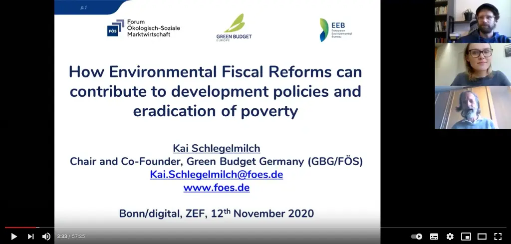 How environmental fiscal reforms can contribute to development policies and eradication of poverty