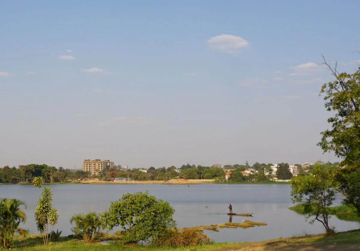 DRC invasive species