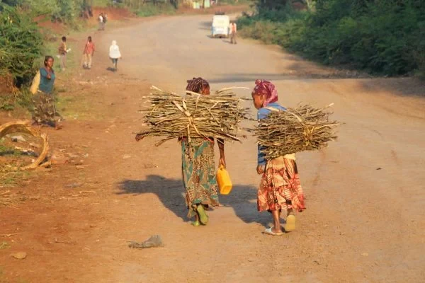 Eine Wissenschaftlerin und ein Wissenschaftler arbeiten hinter einer Glasfassade und mischen Chemikalien mit Großgeräten.
