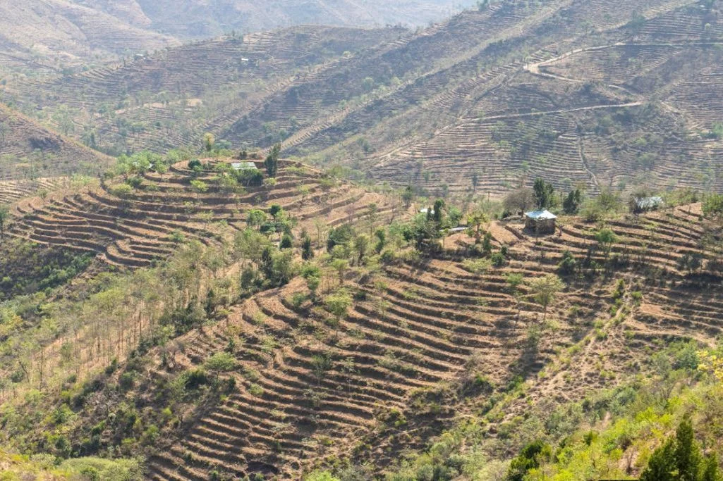 LAND-3_Gella-Ethiopia.jpg