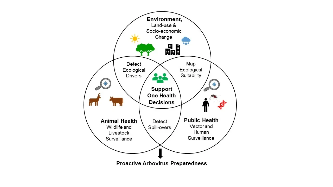 Figure from Maureen Nabatanzi’s Doctoral Thesis: Proactive Arbovirus Preparedness