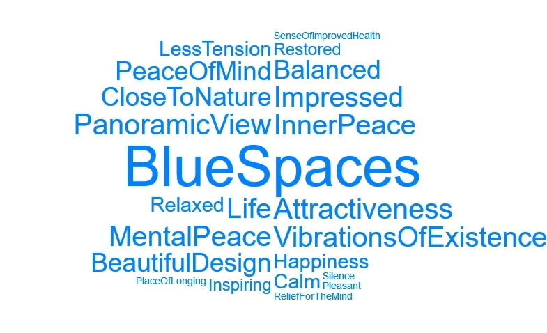 Word cloud of feelings participants about blue spaces