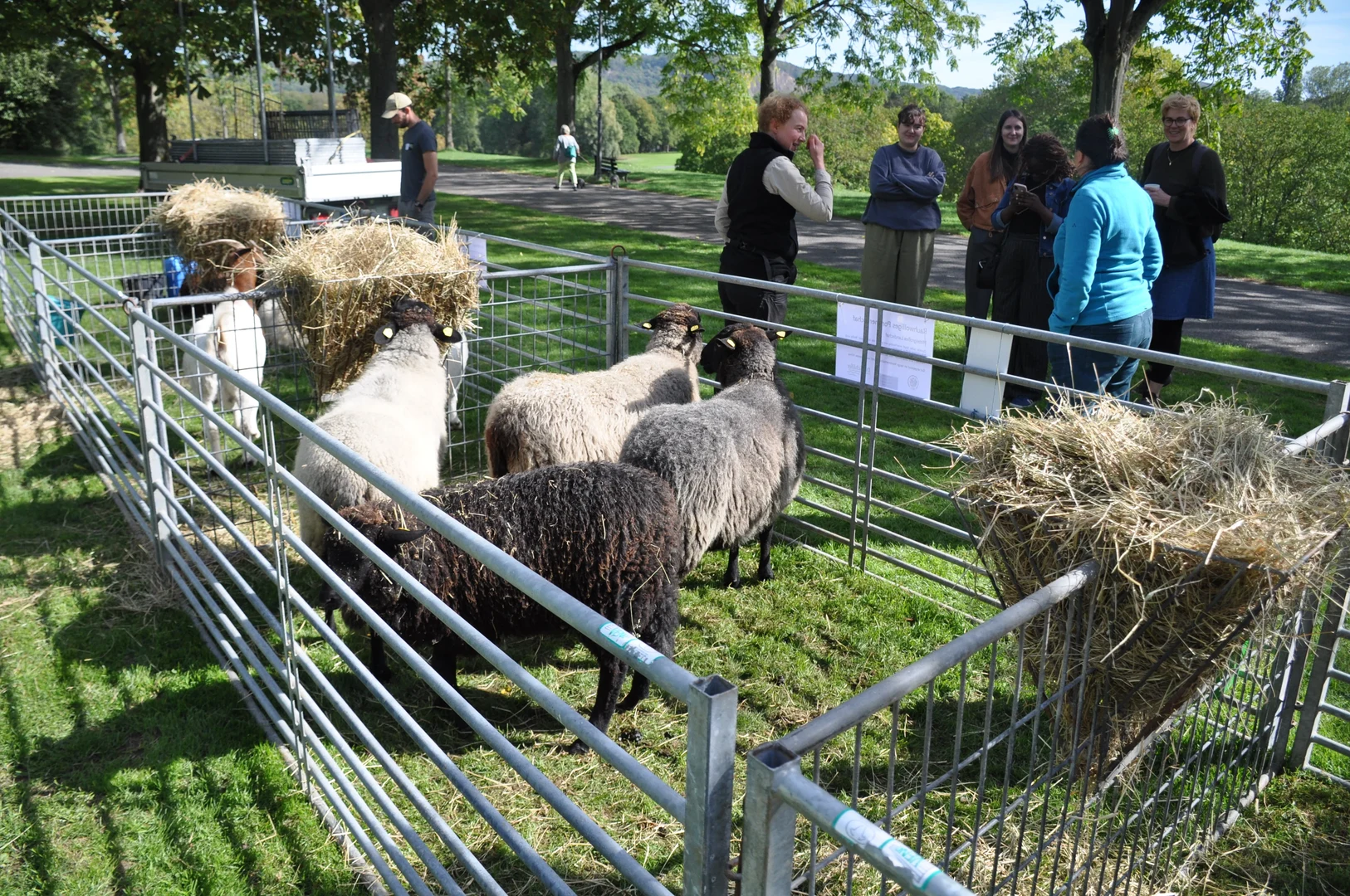 Tina Beuchelt is explaining her work as a professional shepherd to a group of ZEF colleagues.