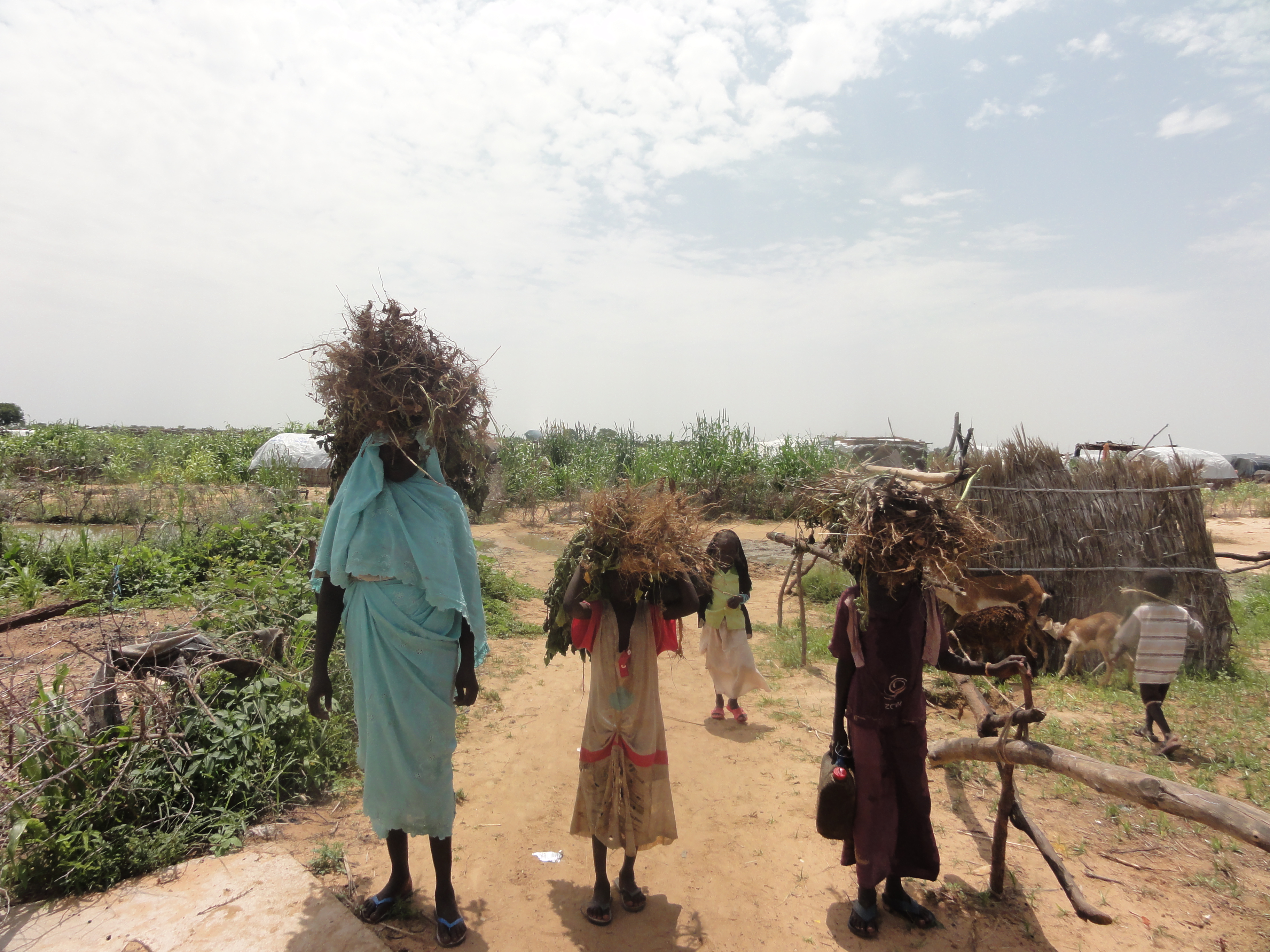 Women in Darfur, Sudan.