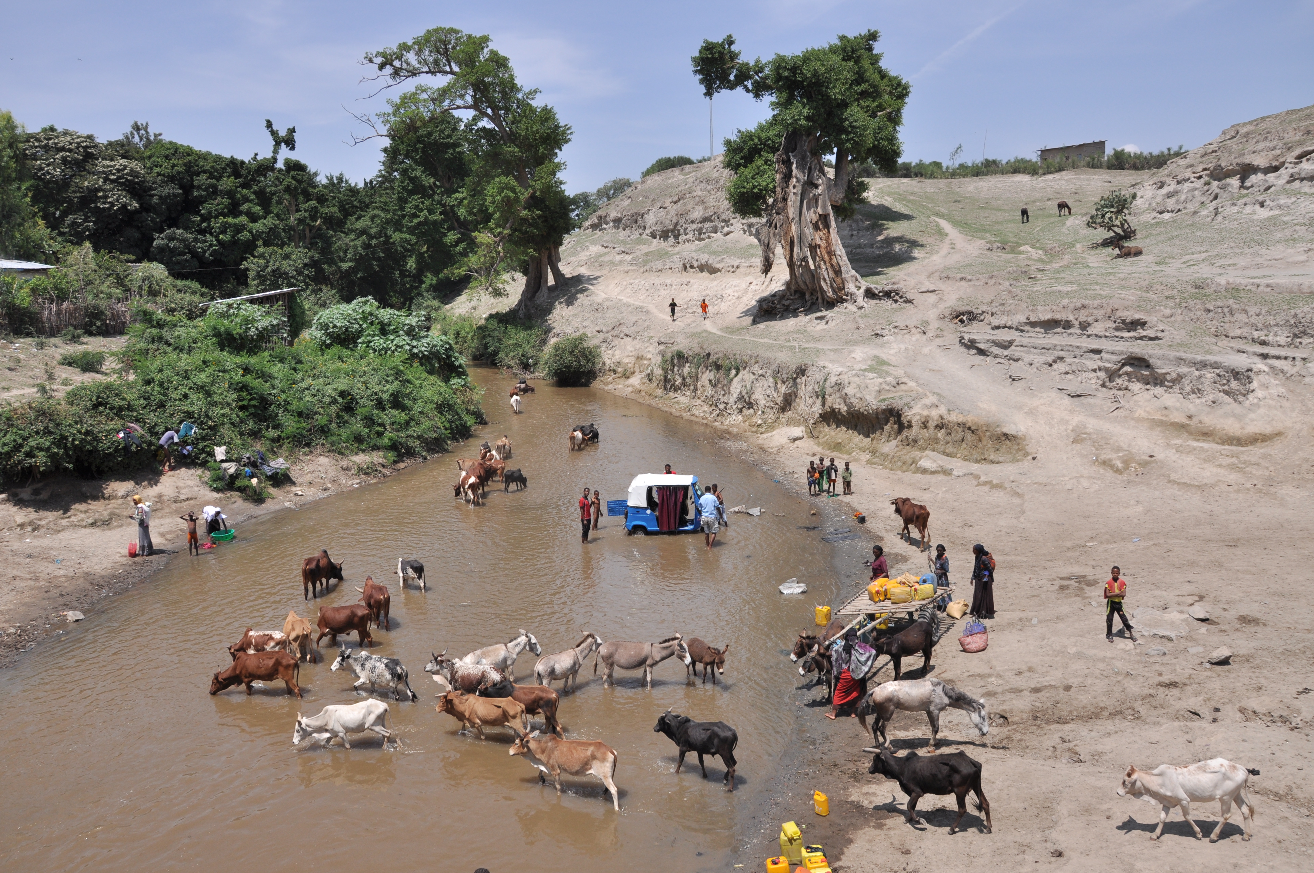 River scene in Ethiopia.