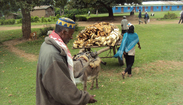Rural scene in Ethiopia.