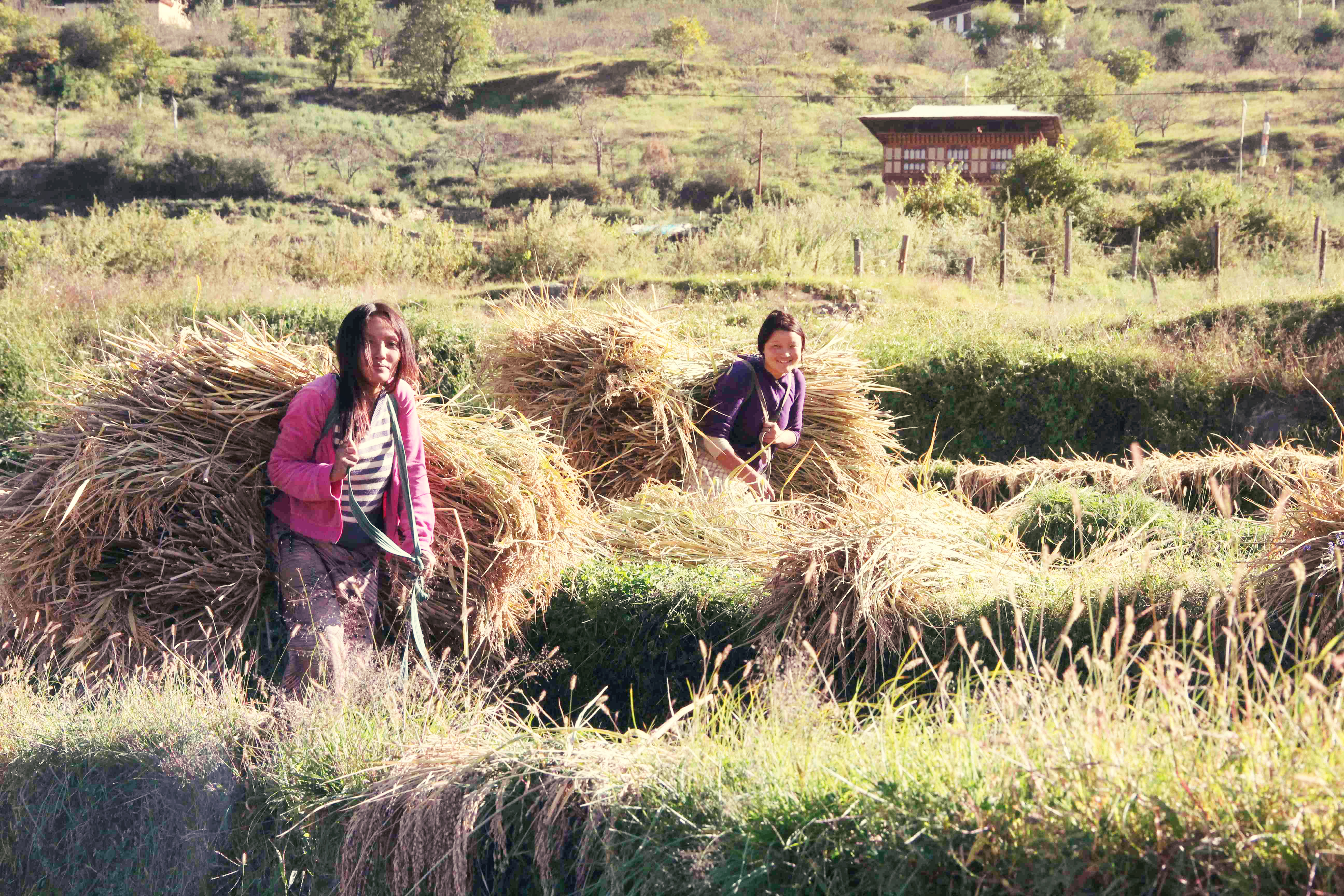 Female Farmers in Bhutan